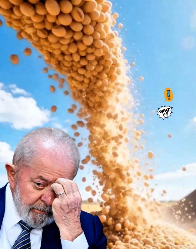 一夜之间，巴西沉默了。巴西大豆价格攀升至650美元/吨，这让巴西大豆商欣喜不已