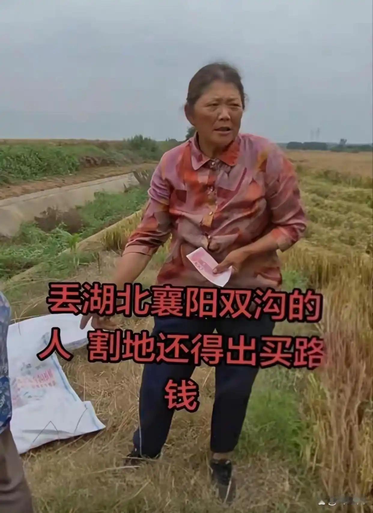 你如何看待湖北收麦遇“大小亩”这个问题全凭甲乙协商，大亩必须事先说明，现在都按6