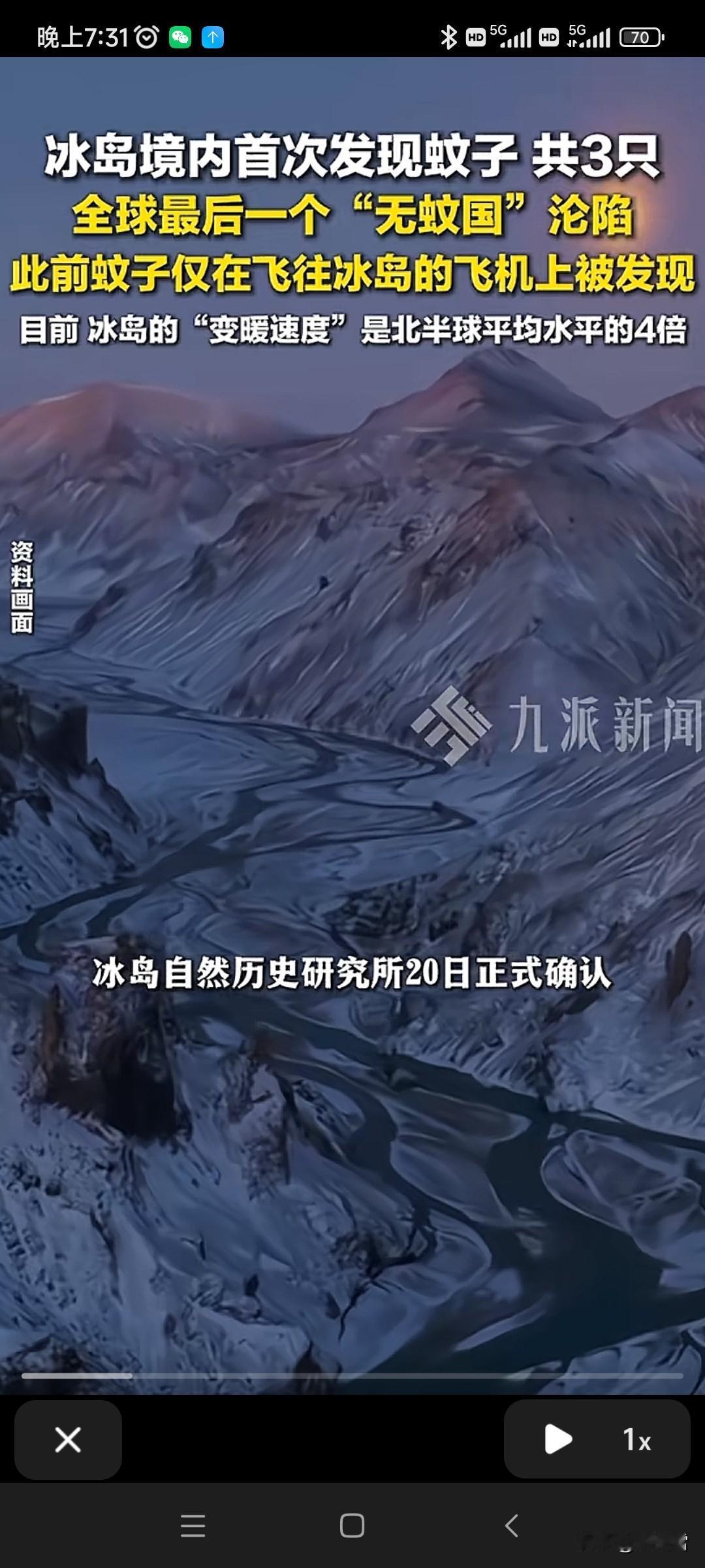 冰岛也有蚊子了！！从此以后，世界上没有哪个国家没有蚊子！！唯一没有蚊子的就