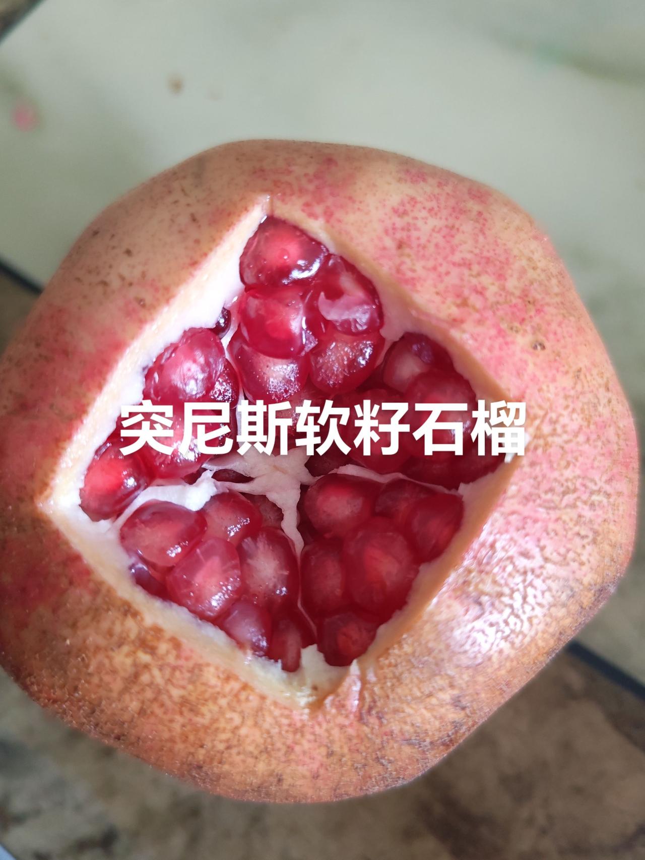突尼斯软籽石榴到了，个个饱满，口口爆汁，一个人能吃一个，榨汁也很好喝软籽石榴