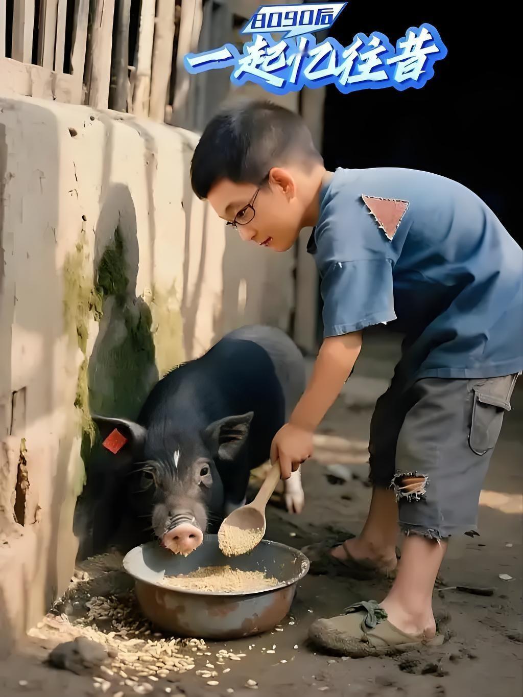 你怎么看回老家喂猪，学学母猪的产后护理。穷则独善其身，达则兼济天下，就不去景区了