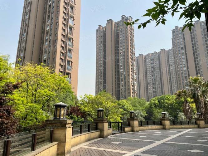 价格出来了，杭州望天际25万的顶跃，20万高层，到底是割韭菜，还是里程碑？？栖湖