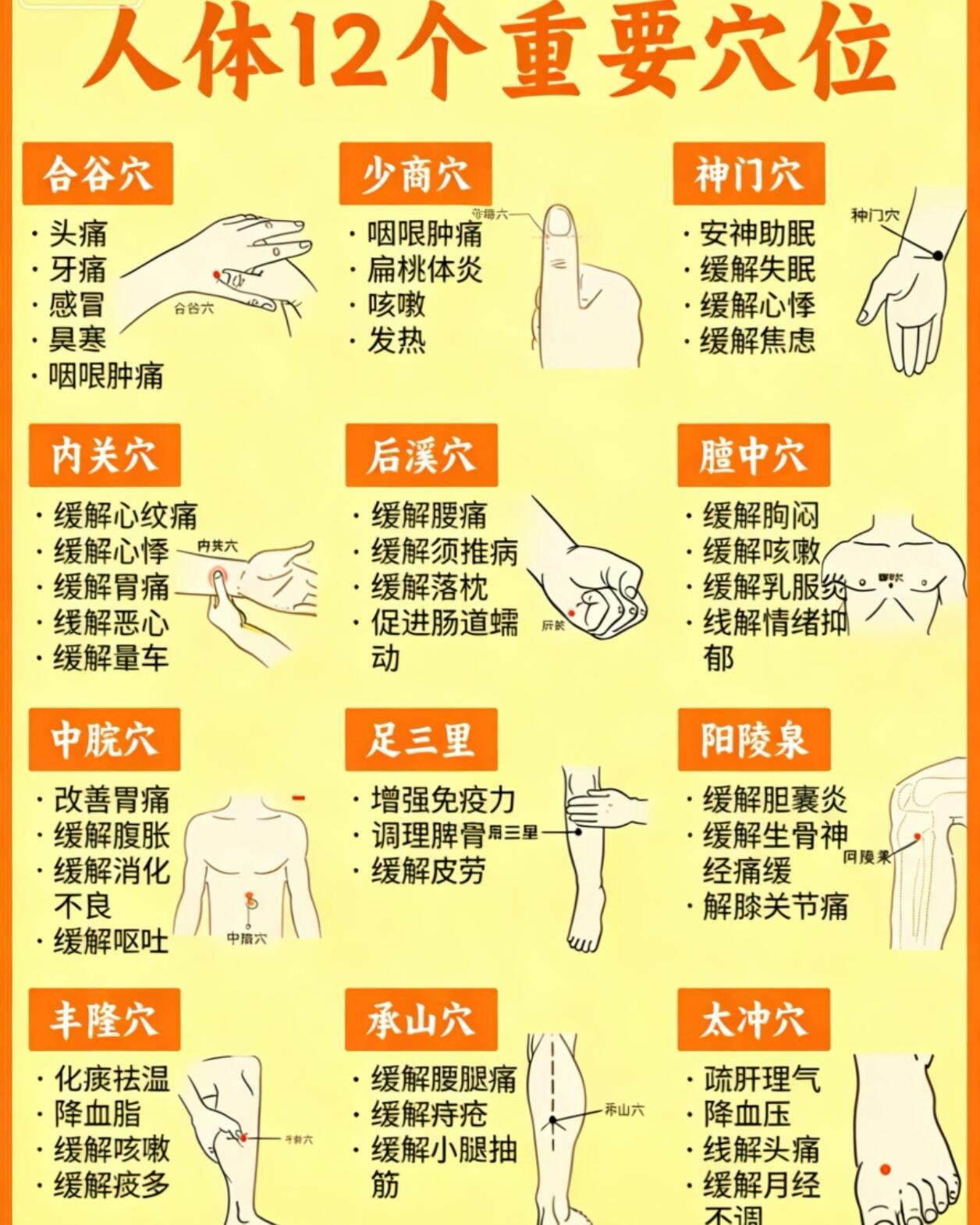 🌿一张图存好！这12个穴位就是缓解你的“随身急熬夜头痛？胃胀难受？焦虑失眠？健