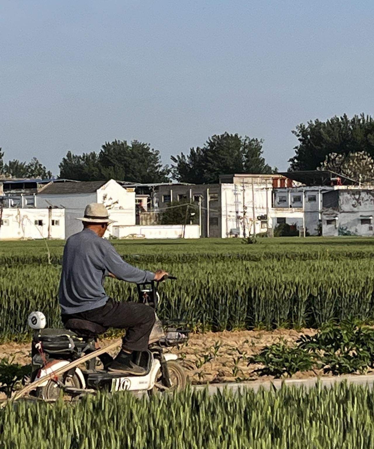 国内的农村房子比欧美农村房子差的可远不止一点两点欧美的农村通过视频呈现到国人眼