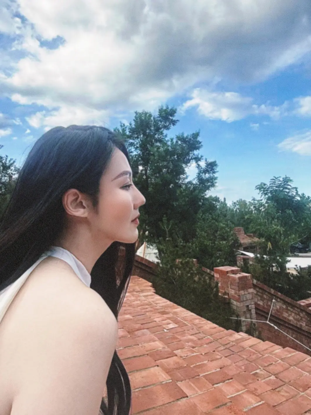 风和自由。哈哈“陆总，早点回庄园，您的夫人已经备晚餐等您了！”