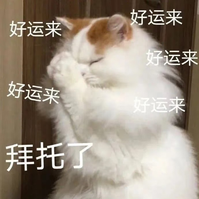 我要接所有好剧本大ip都市丽人悬疑推理落地古偶古装权谋古偶宅斗历史正