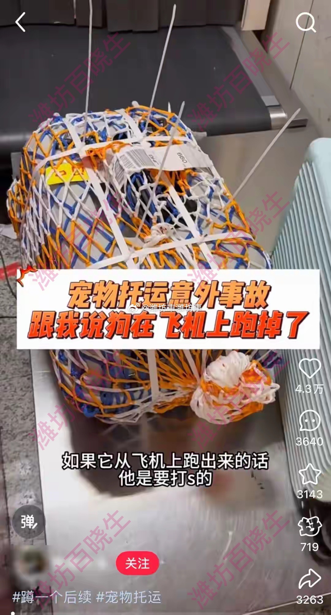 坐飞机办理宠物托运后小狗却跑了博主乘东航航班从杭州飞西双版纳，托运的小狗竟弄碎箱