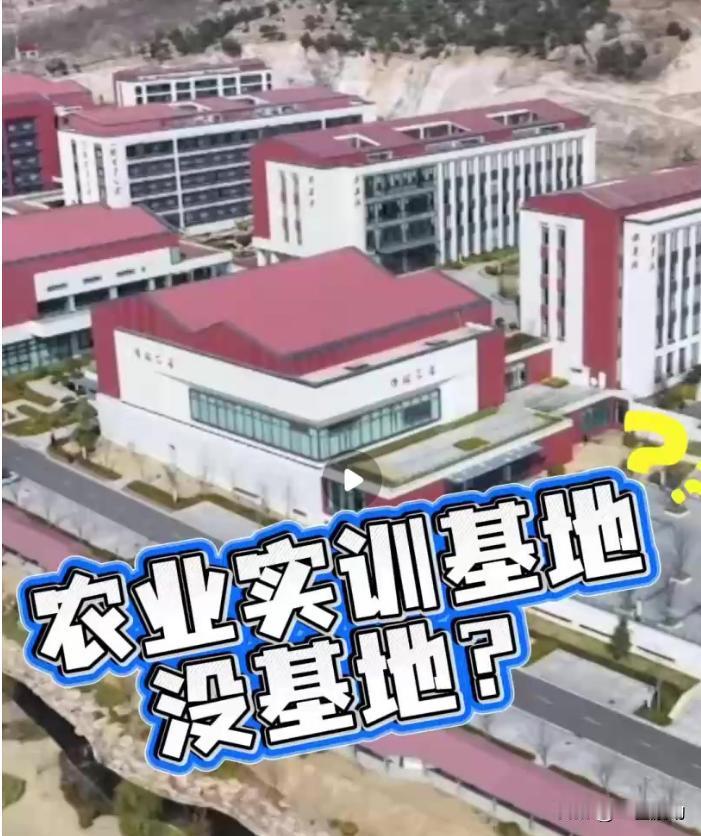 焦点访谈回来了！不得不承认，有些基层单位胆子很肥，现在联合调查组已介入，必将严