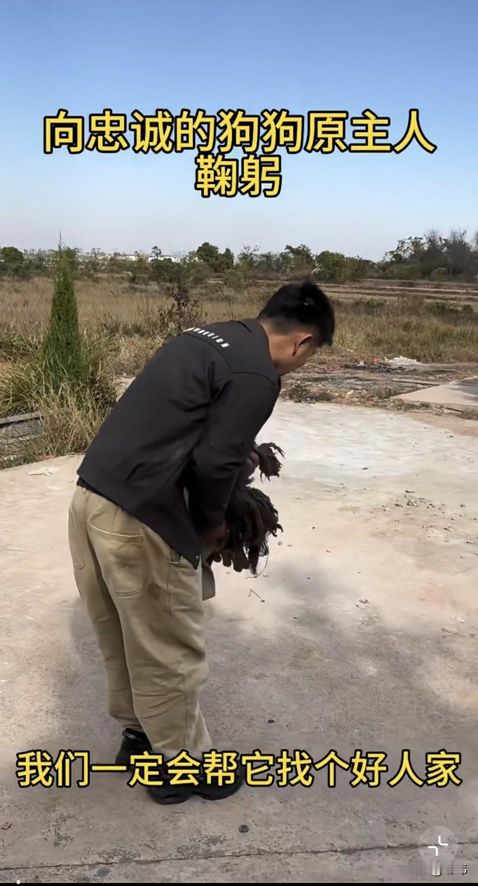 泪目了！一位爱心小哥哥听说有一只非常忠心的狗狗，守护在它去世主人的墓前已经好几年