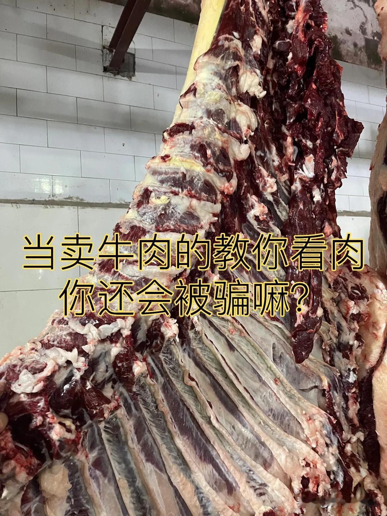 当卖牛肉的教你看肉你还会被骗嘛？1.上脑:南方称（吊龙）脂肪均匀，肉质鲜嫩，