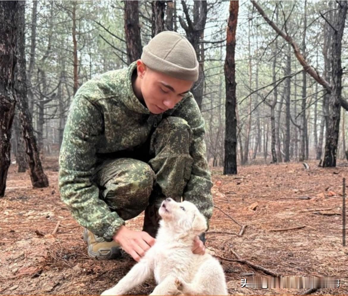 2025年12月10日，俄罗斯国防部24小时最新战报！（截至2025年12月10