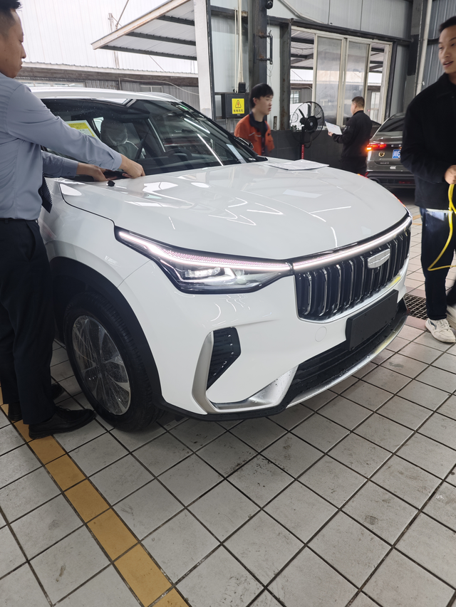 入手博越美好版恢复补贴后提博越美好版回家，有两个问题1.现在的车都没有纸质版操