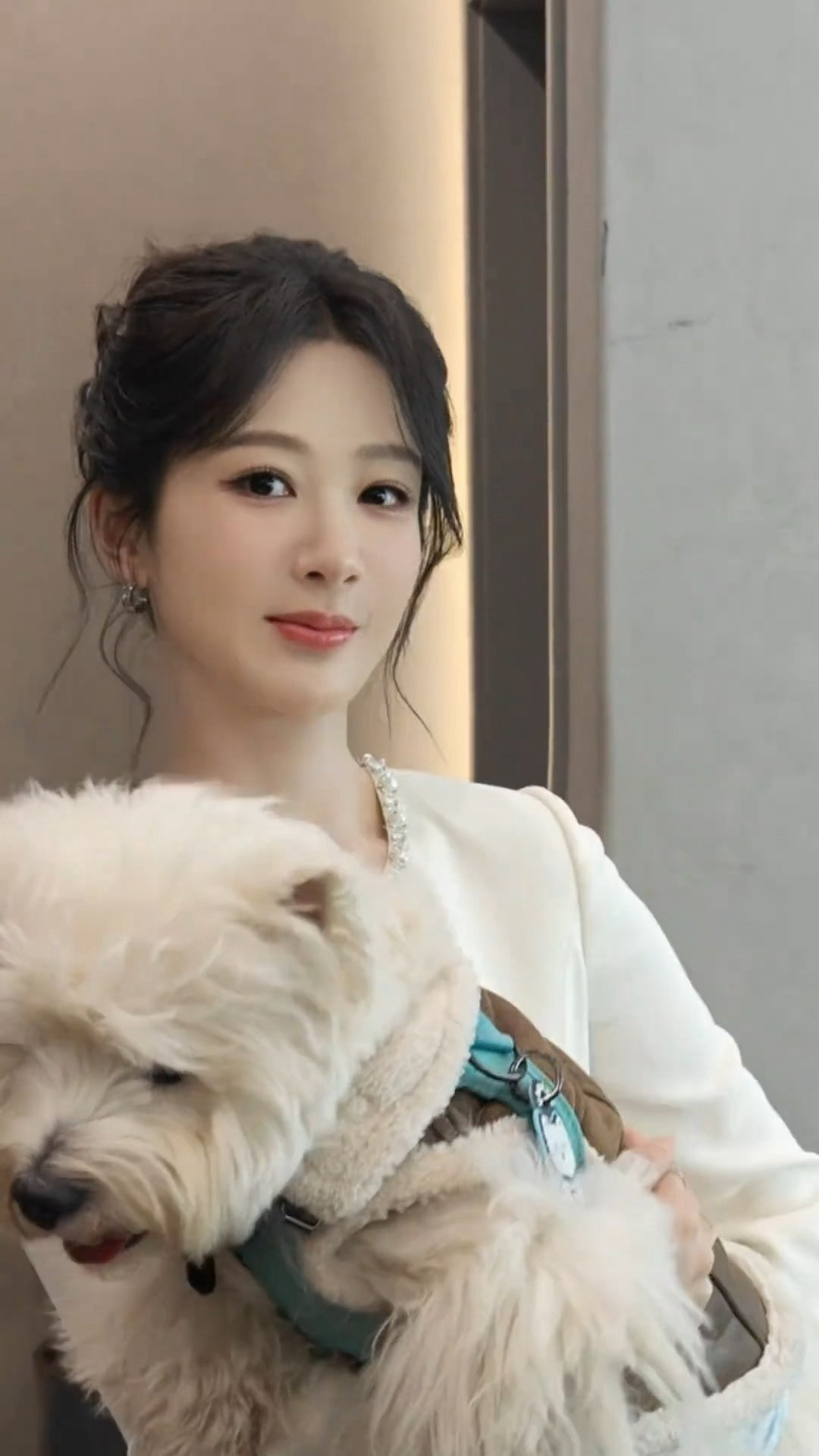 杨紫抱着小狗跳了Overdrive，如此萌物视频里有两个