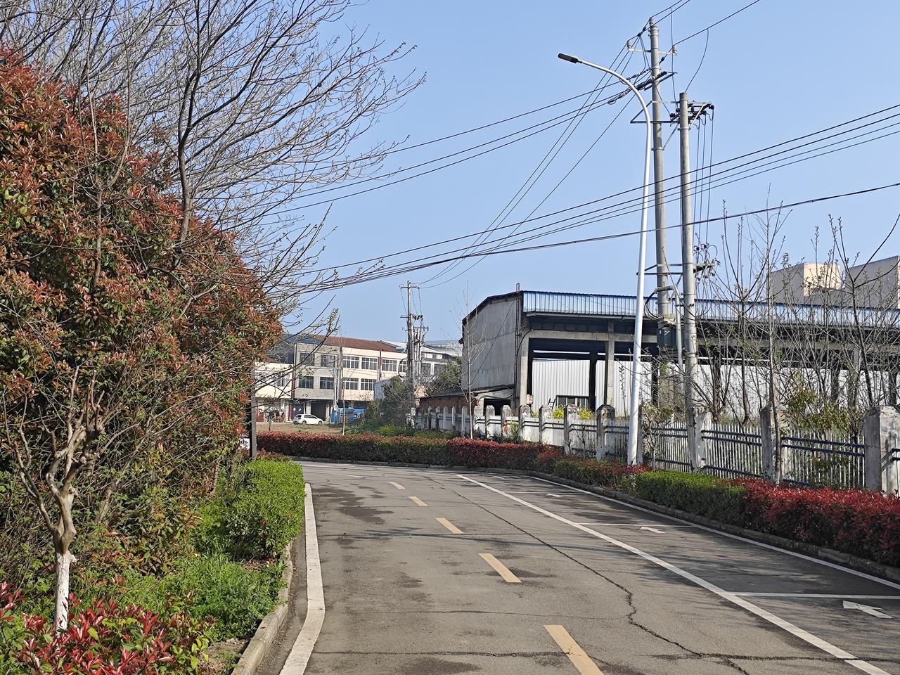 从专业技术五级（副高）晋升到四级（正高），仅岗位工资一项，每月固定增加917