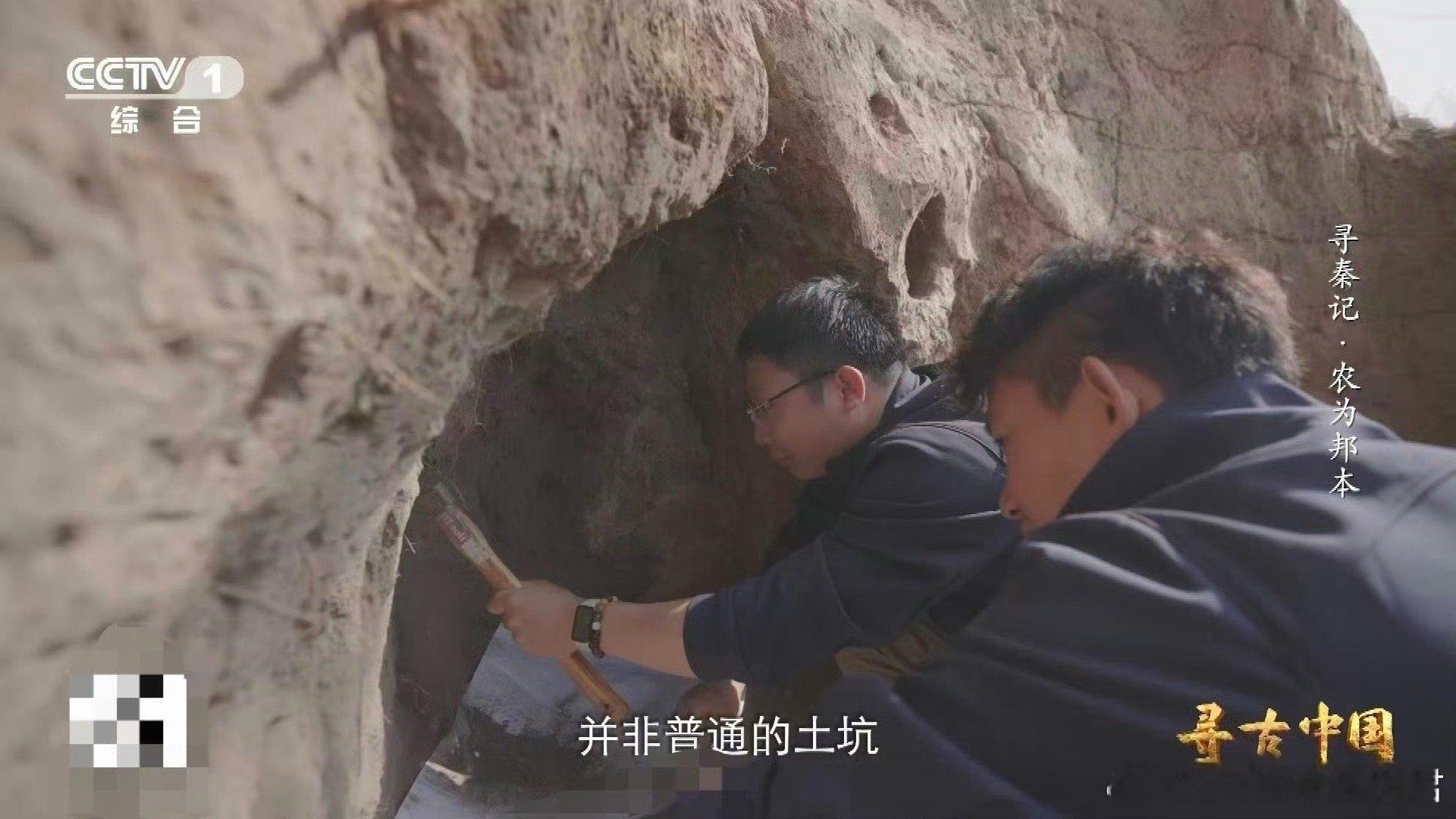 从3升土里淘出秦人食谱2000多年前的垃圾桶在宝鸡魏家崖，最不起眼的灰坑成了历