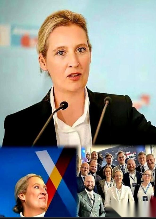 德国那些大人物，昨晚估计都没睡好。不是因为咖啡喝多了，是吓的。他们嘴里那个“极