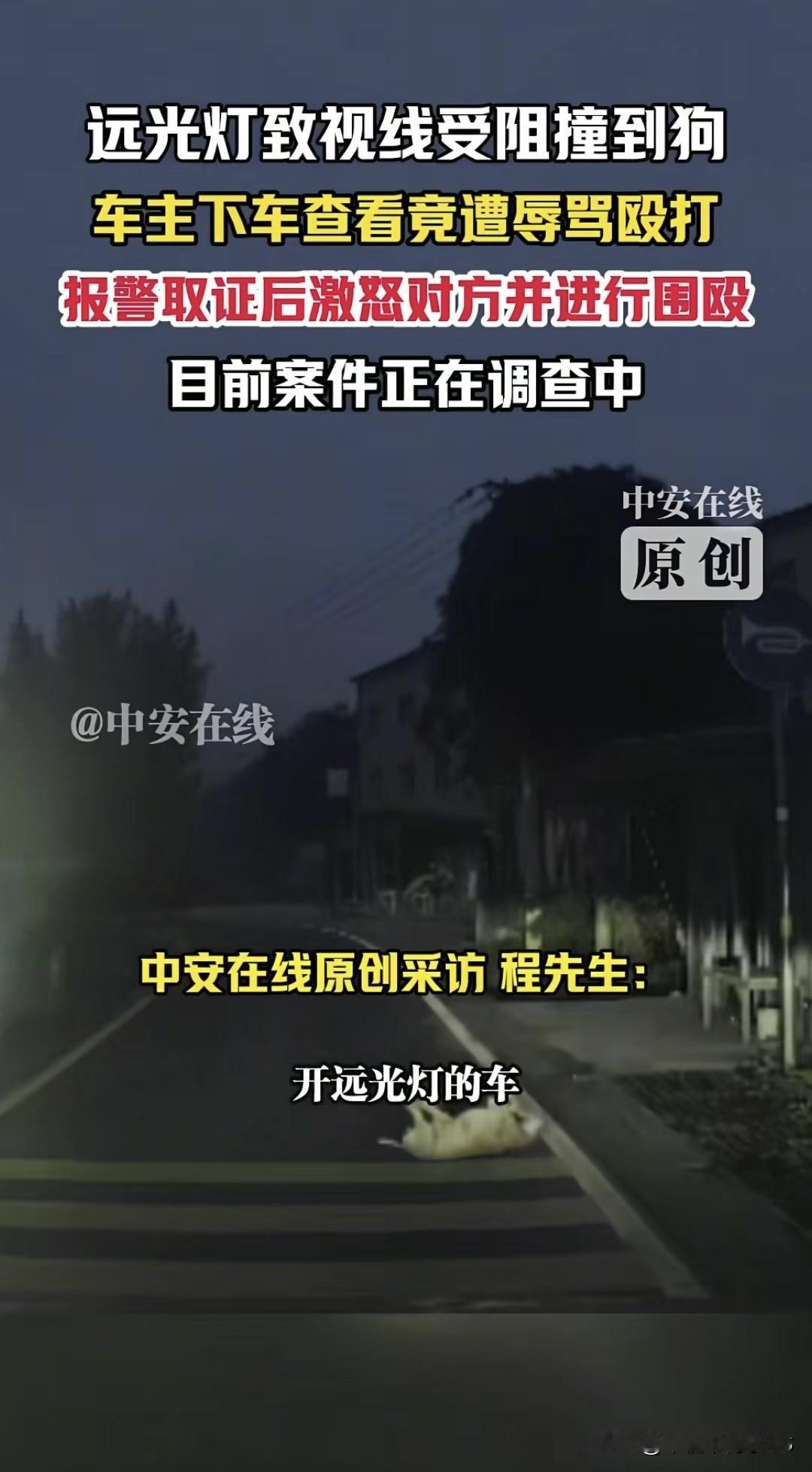 夜间开车遇远光视线受阻撞狗，车主下车遭狗主人带人围殴打进医院。10月5号晚