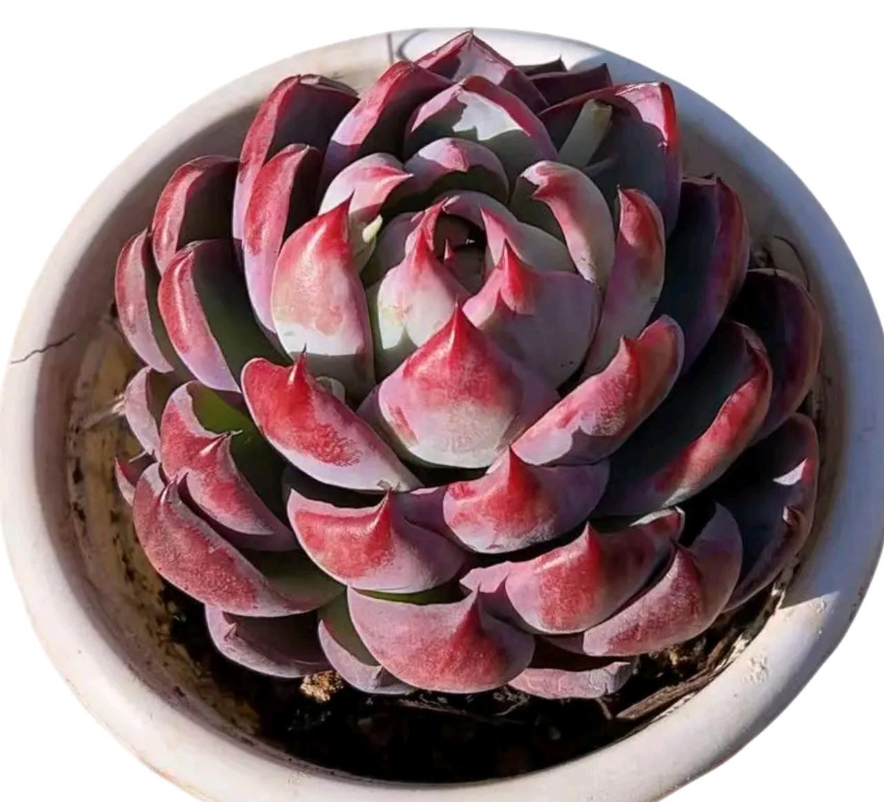 1一10年是历练期，能成功的人，一般1o年也可以稳定赚钱了，可以稳定赚钱后，收益