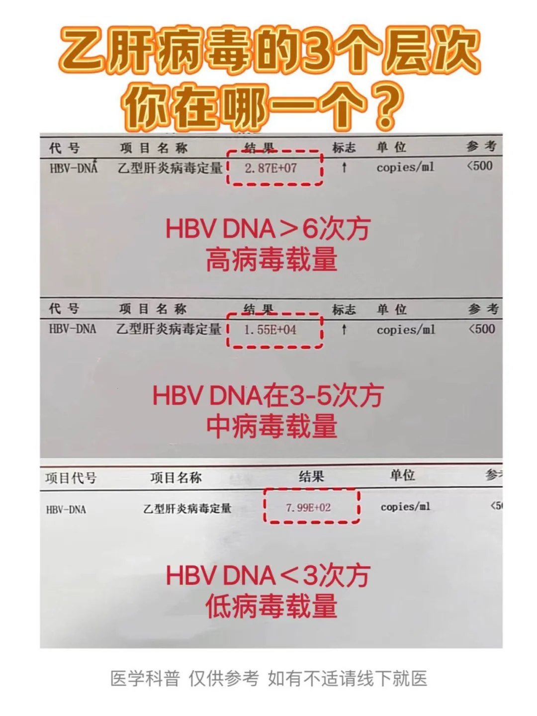 乙肝病毒的3个层次，你在哪一个？