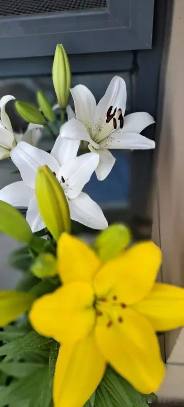 都说巨蟹座是最有福气的星座，这话一点不假！巨蟹座的人天生心软善良，见不得别人受苦