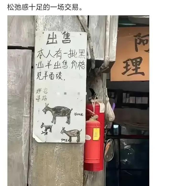 见羊面谈，我选1600的