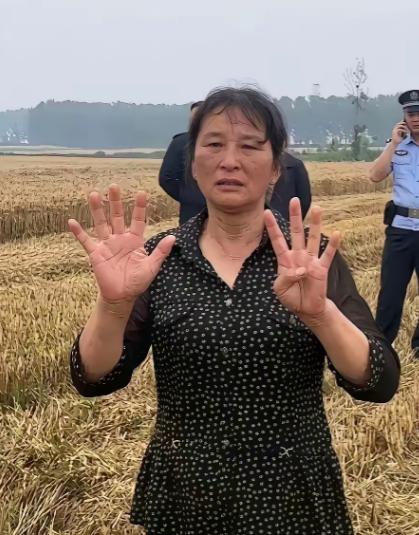 襄阳那位“割四赔五”的大妈，终于低头了。前阵子这事闹得沸沸扬扬，人家两口子大老远