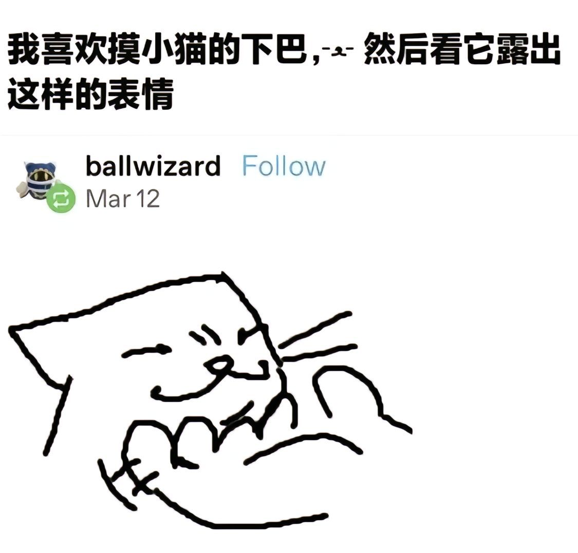 我超喜欢摸小猫的下巴原因找到了