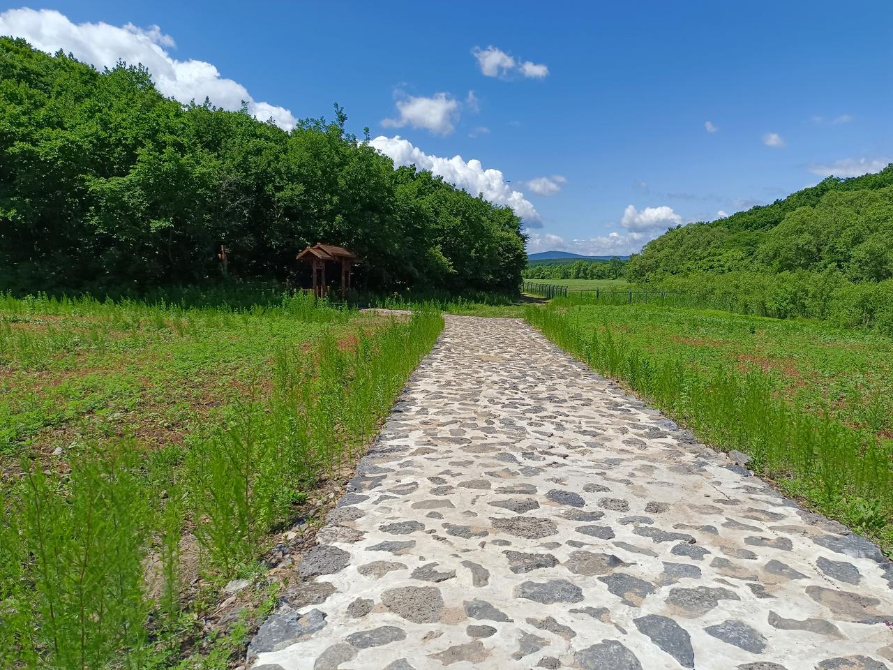 如果佳木斯成为一线城市，那么东三省将发生什么变化？国家要振兴东北经济，很多人