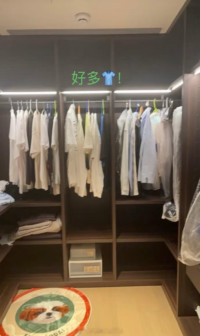 这届网友真是纯纯福尔摩斯和造梗大师