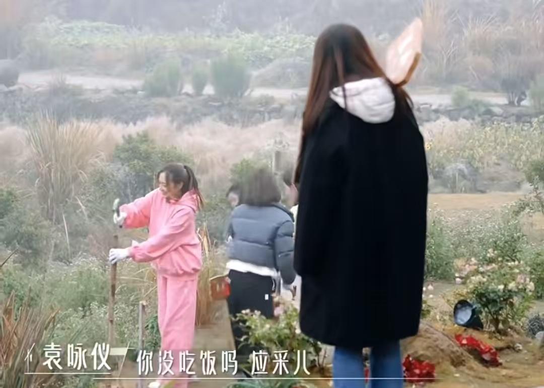 袁咏仪说应采儿干活慢，是不是没吃饭，应采儿让她别在那叨叨！应采儿:“你不要在那