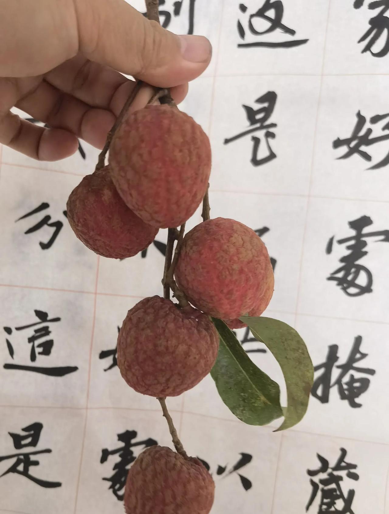 杨贵妃当年喜欢的就是这种荔枝吧？日啖荔枝三百颗，不辞长作岭南人，现在正是荔枝下来