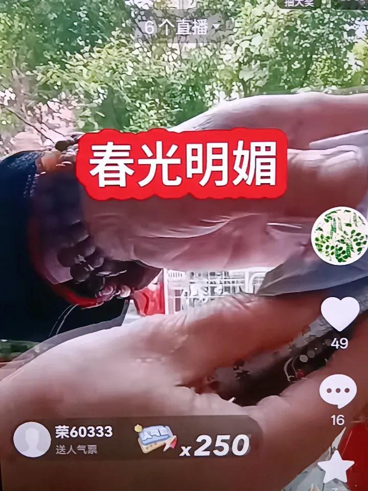 今天，柴桑老师亮出来他昨天向有关部门写的家书，而且他在直播间亮出来，发了信件的存