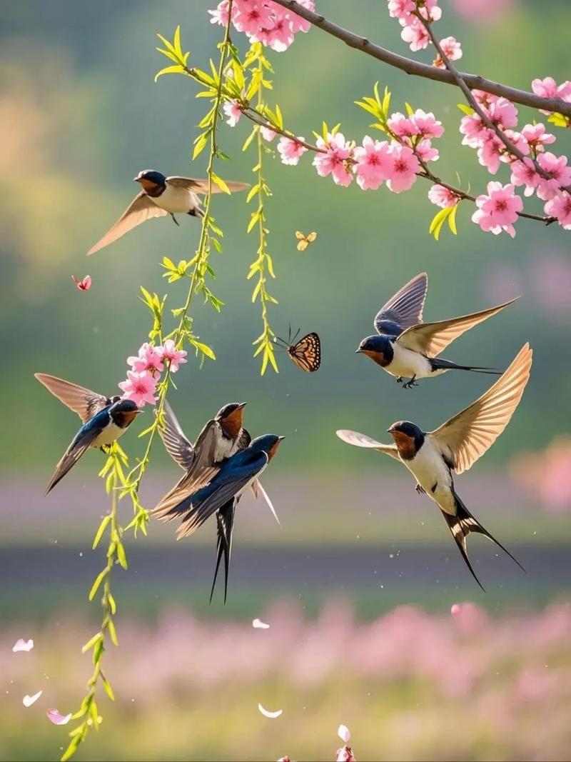 上联：冬去山明水秀，下联：请你来春来鸟语花香