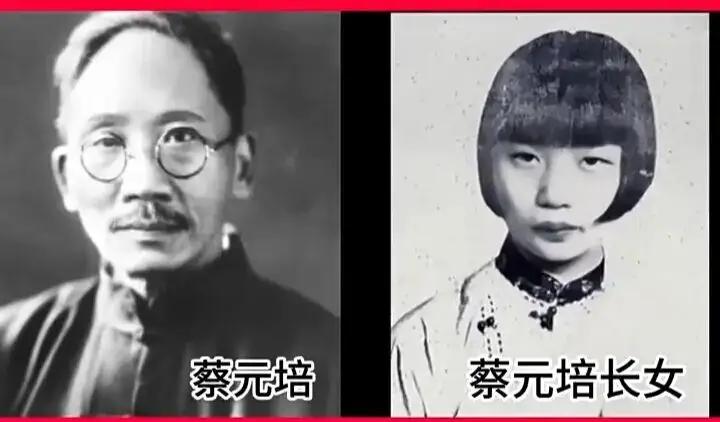 北大校长蔡元培的“软肋”：独宠长女一生7子，她离世后老父吐血而亡这话听着像野