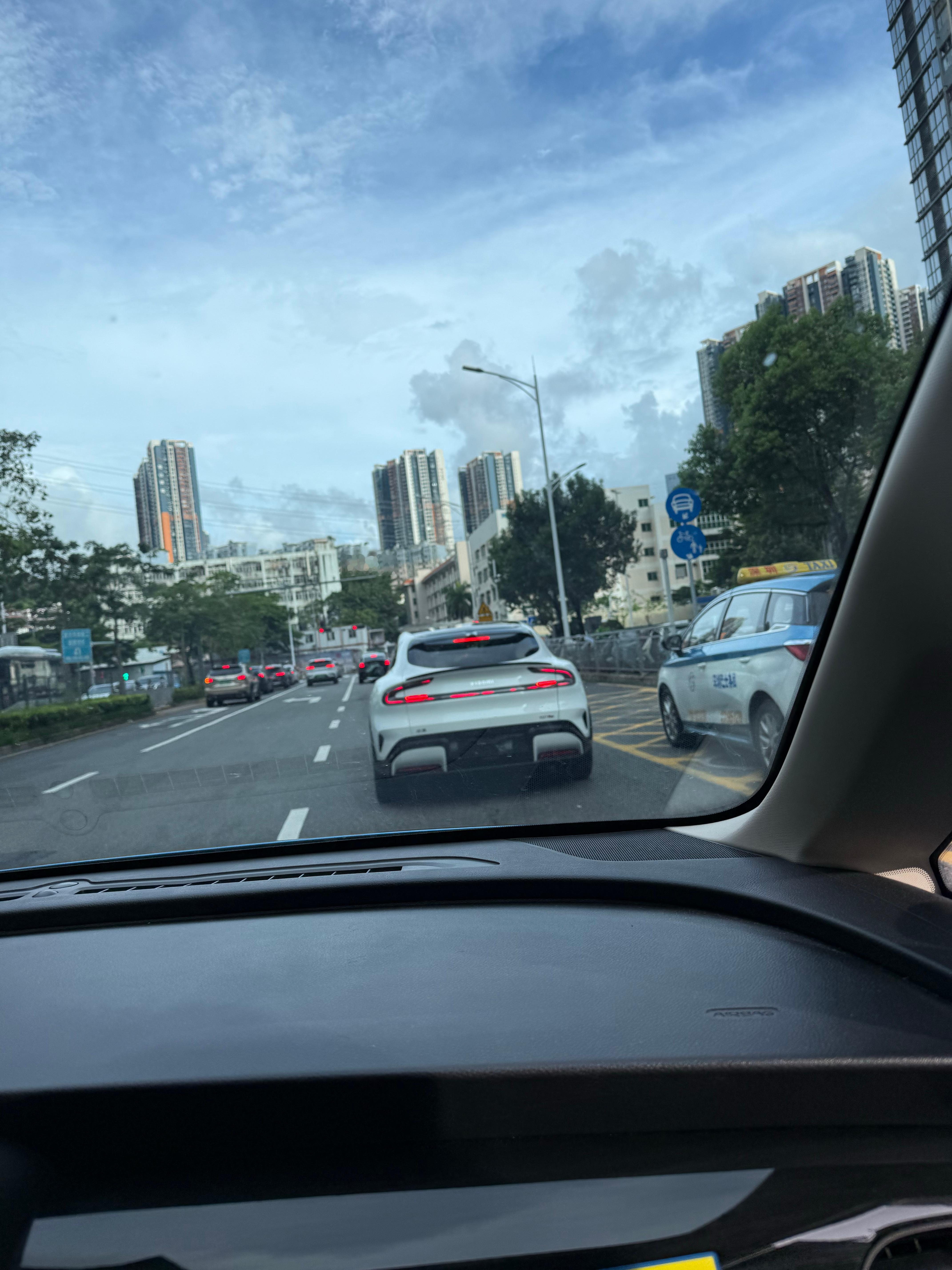 路上逐渐多起来了，白色，也蛮清新的​​​