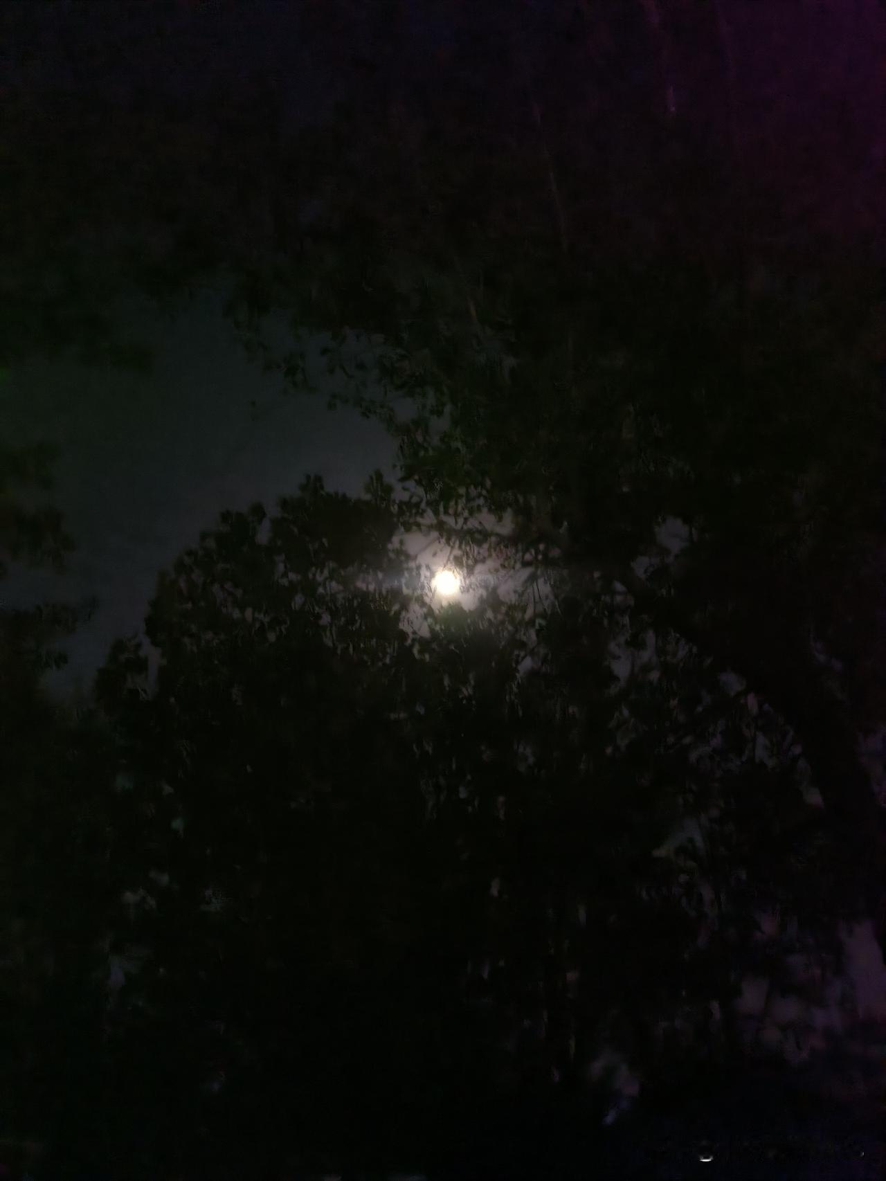 38岁安全员猝死在3000米考核线上：制度的尺子，量得了体能，量不出人命，这到底