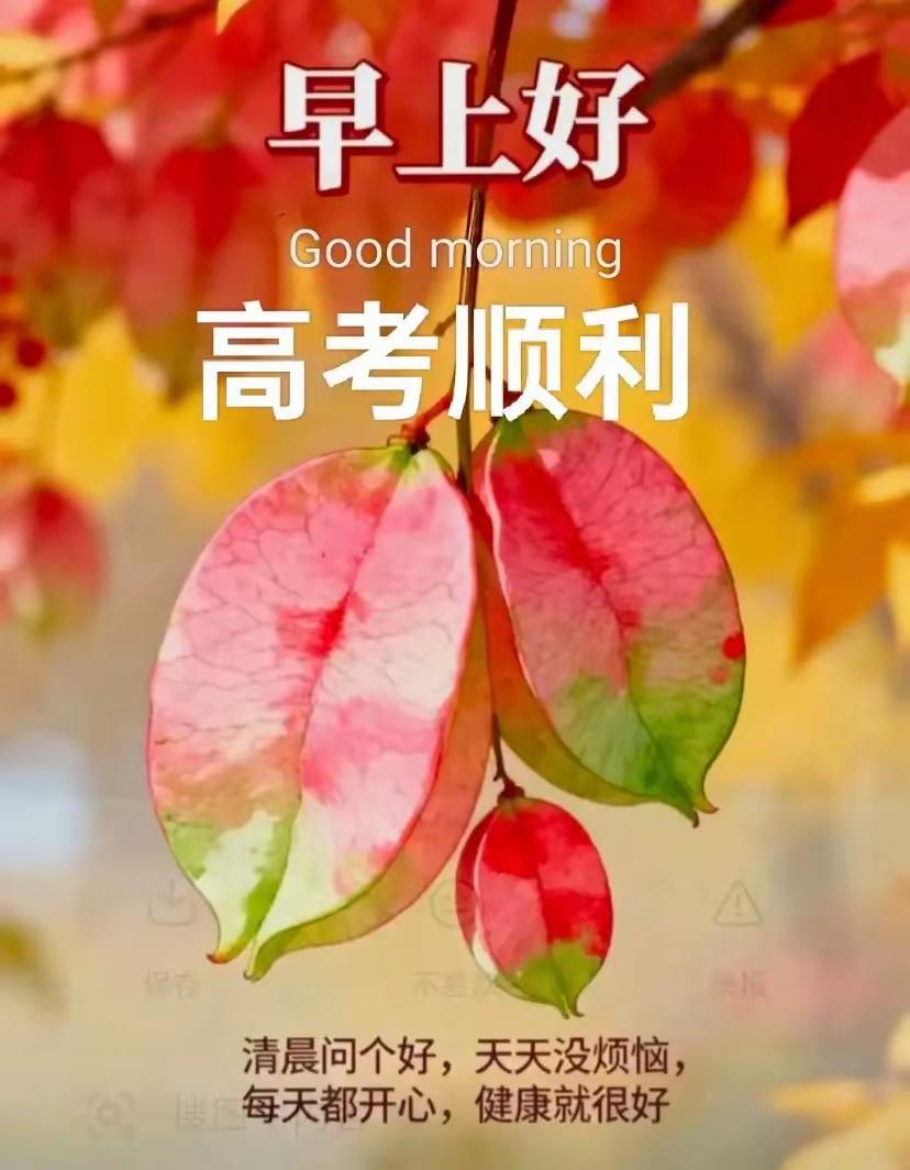 🌹早上好🌹心宽烦恼散，平淡日子暖；晨起迎晨光，岁岁皆平安；烦忧全放下，