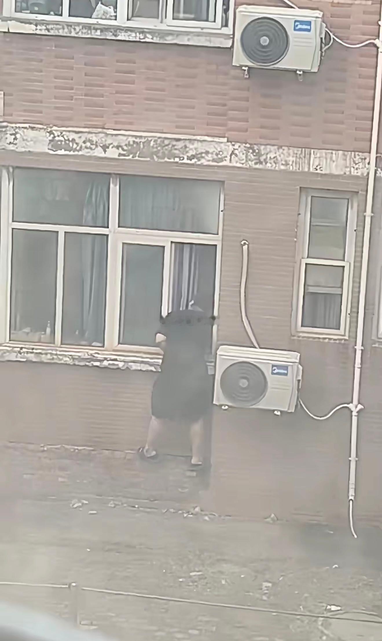 太猎奇了！“男生偷女生内裤”新乡学院通报：情况属实，给予留校察看处分！