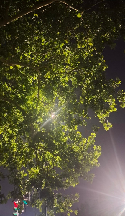 我朋友跟我说，她表哥今年47岁了，早前有个儿子上初中时车祸没了，之后又跟老婆生了