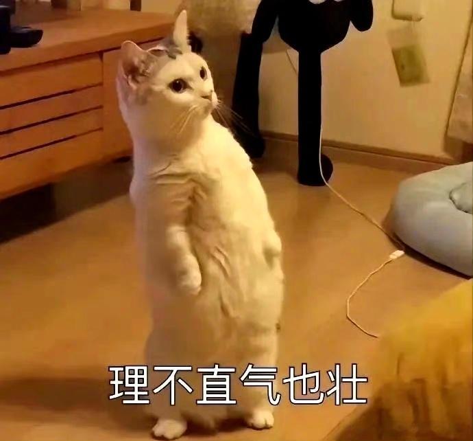 金牛座嘴上说随便，心里全是标准。天秤座嘴上说随便，心里全是纠结。射手座嘴上说随便