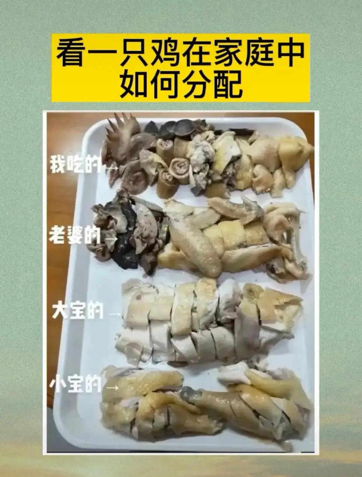 一只鸡看懂男人的地位。