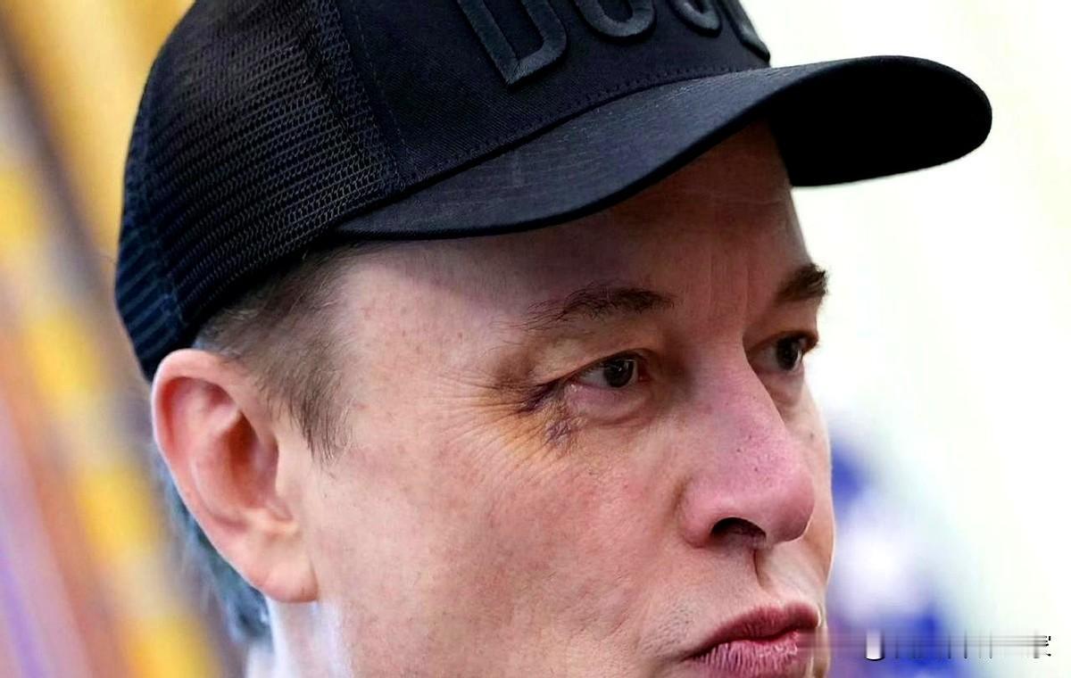 哈哈哈哈，破案了兄弟们，前几天大家都在关注马斯克的乌眼青是谁打的咱就是说这官