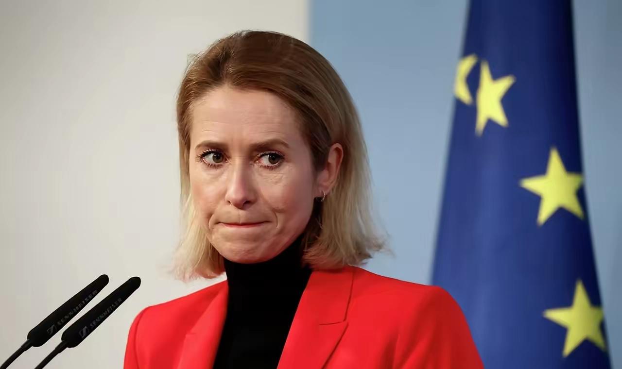 【卡拉斯替泽连斯基做主】当地时间2026年2月2日，欧盟外交与安全政策负责人卡