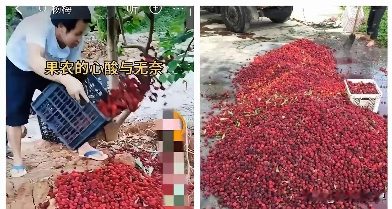 福建杨梅事件再次给我们敲响了警钟。一个很反常的现象：做什么的自己不吃什么。炸