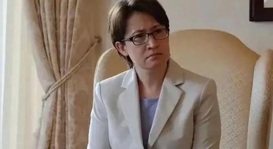 民进党台当局赖清德副手萧美琴在挪威接受专访时曾表示：台湾地区现行规定中包括“两岸