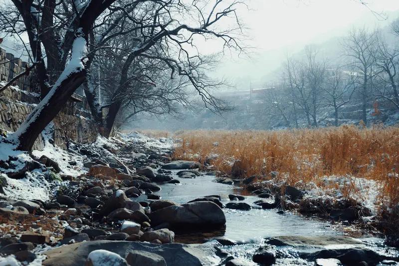 今年冬天的不同今年冬天可太不一样了！1月8号三九天开始，按老理儿“冷在三九”，
