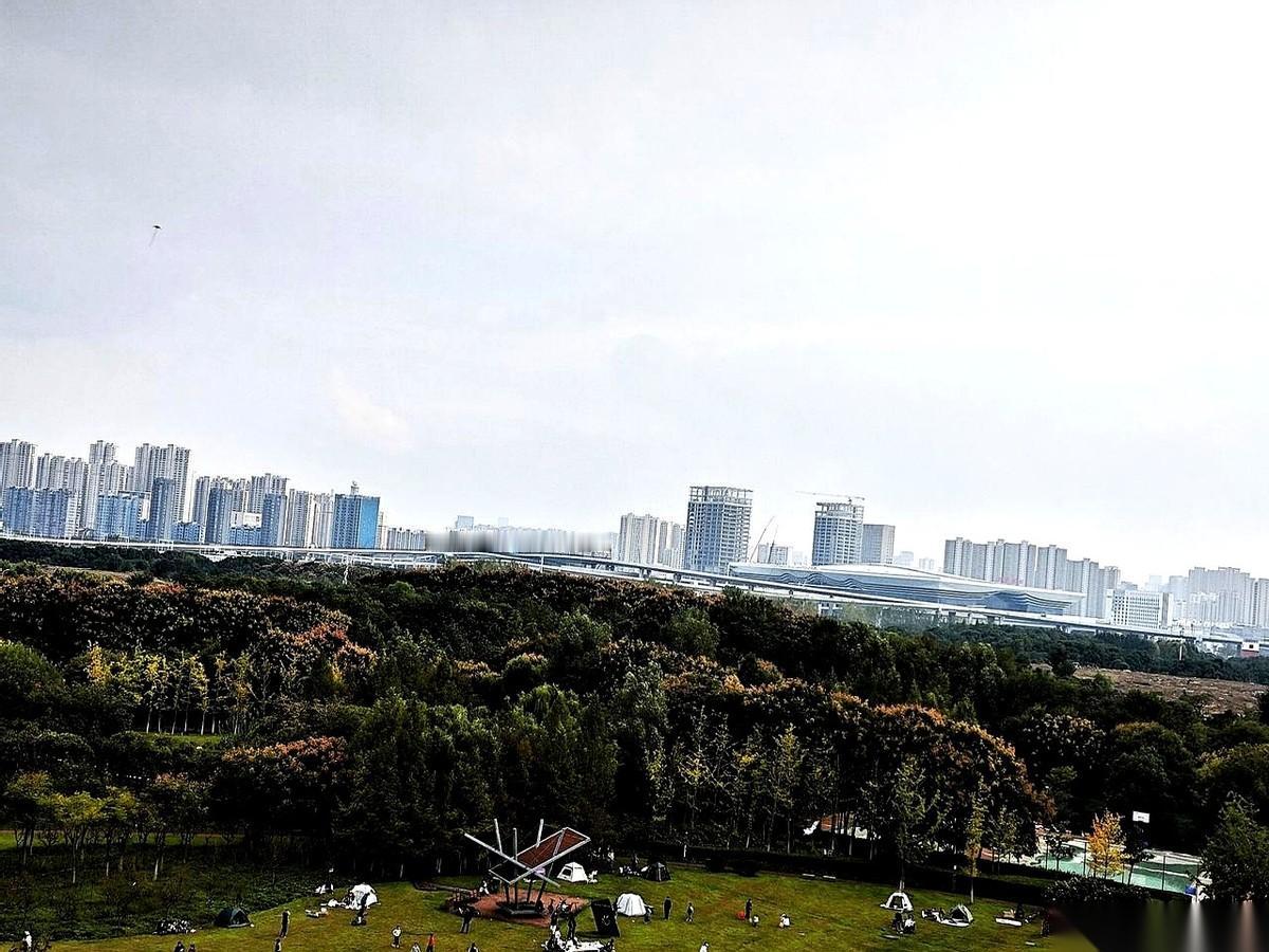 刷手机刷到个消息,我直接愣住了。说合肥西站通了,去香港只要4个小时。第一反应