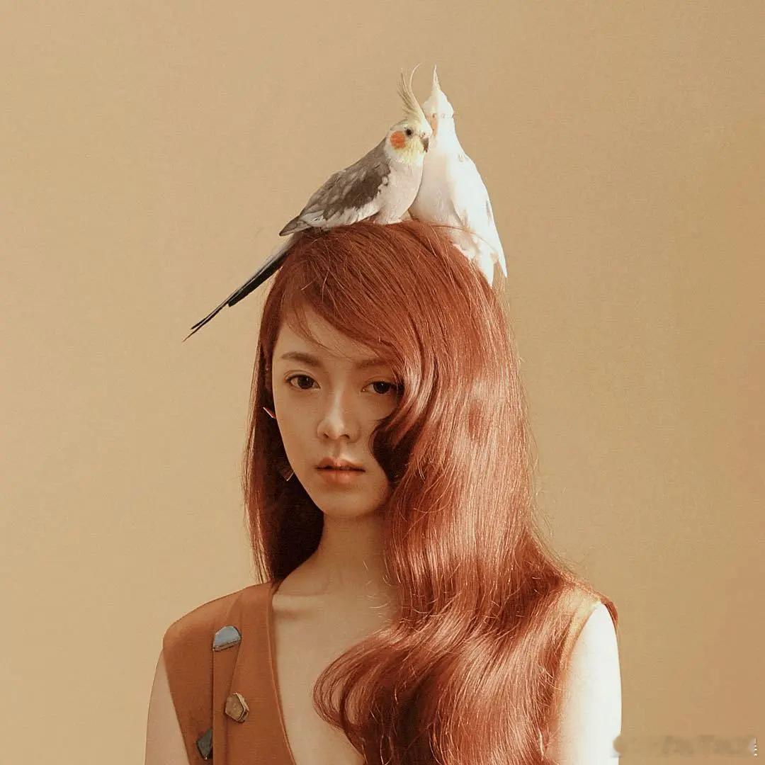 赵今麦怎么这么喜欢的搞这种抽象照。