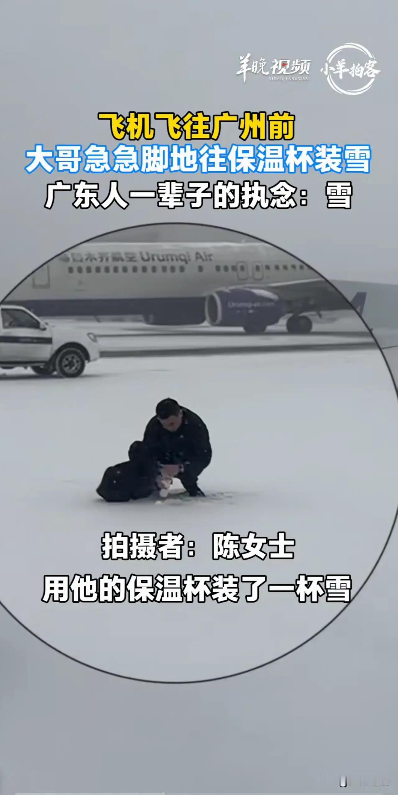 广东人对雪的执念——一广东男子在乌鲁木齐飞广州的飞机起飞前，用保温杯装了一瓶雪，