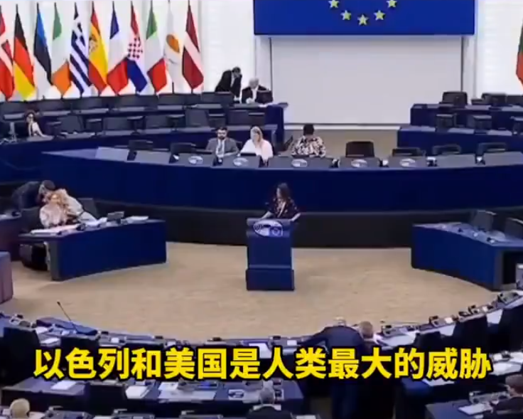 欧盟议会现场激烈争吵！西班牙议员一句话，令现场鸦雀无声6月25日，在欧盟普遍支